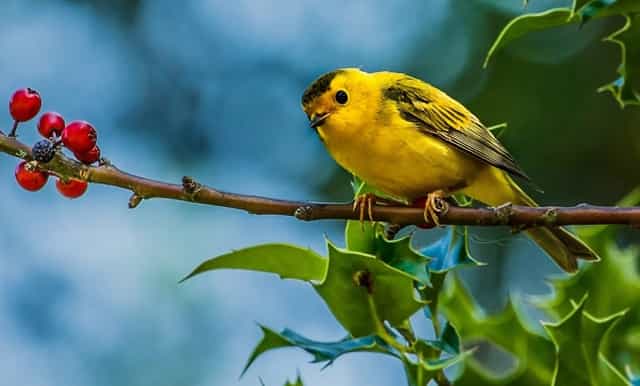 广西容县建设农产品产地仓 助力乡村振兴