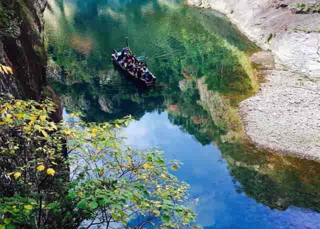 袖虎病猫攻略：小心空调病