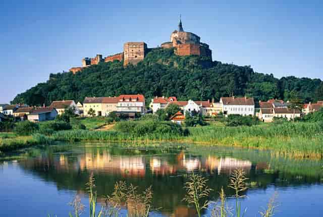 甲状腺患者的习惯(甲状腺患者能否生育)