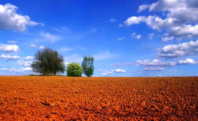 袖虎病猫攻略：猫咪鼻炎处理方法