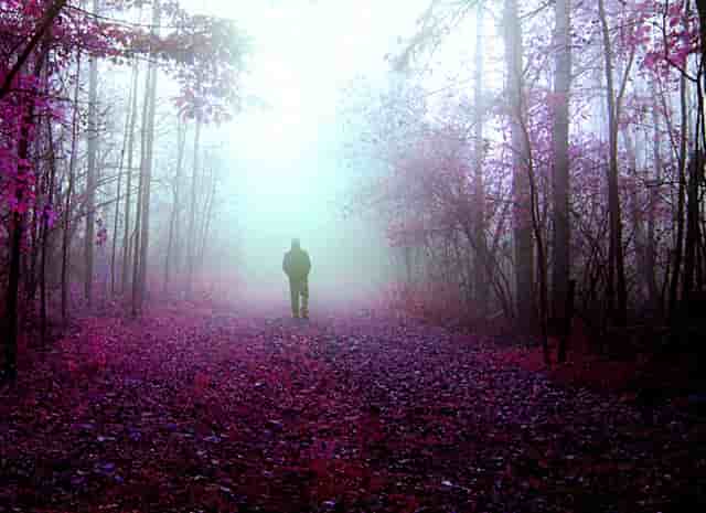 属虎的人今日打牌运势如何