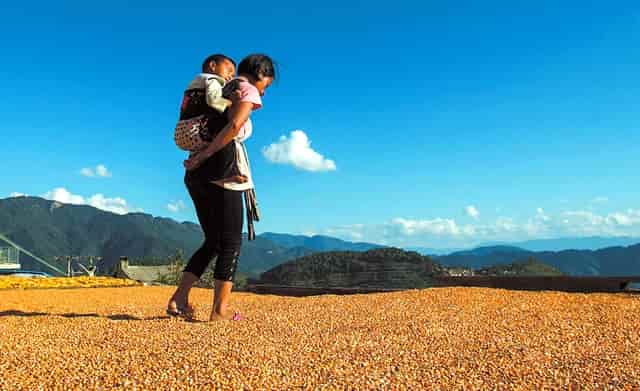 全息摹复 焕彩流丹 ——和林格尔东汉墓室壁画整体摹复及中国古代壁画的非本体再现展学术研讨会将在上海举办