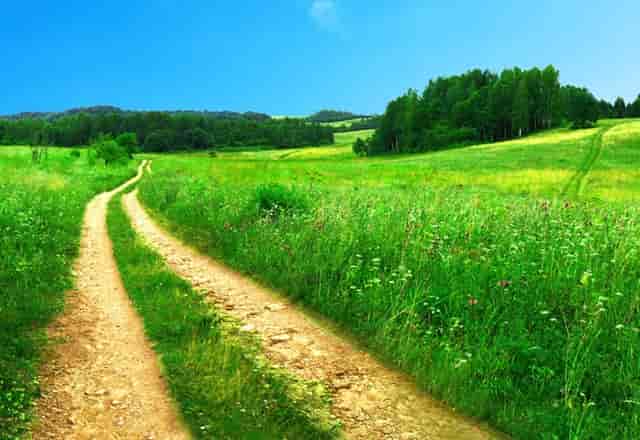 拉人头传销：7层代理发展下线年入百万不是梦？