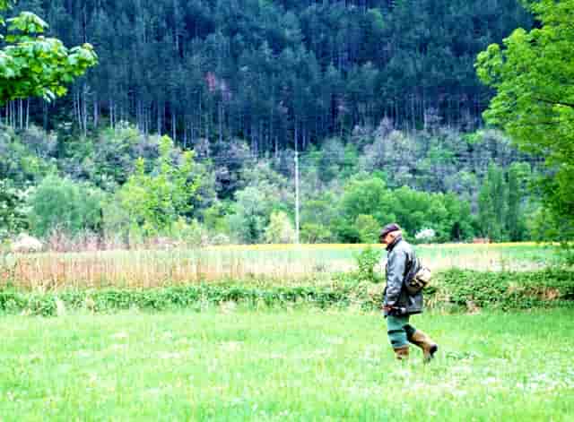 万国葡计——ZF实力演绎