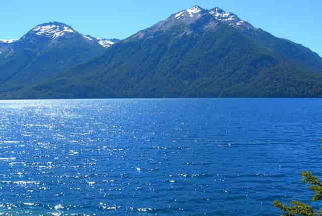 袖虎病猫攻略：猫咪体内寄生虫，养猫的你必须认得