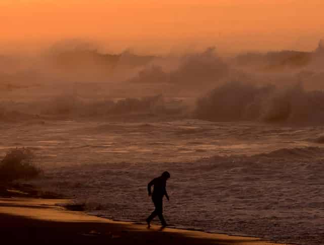 袖虎病狗攻略：狗狗产后护理须知