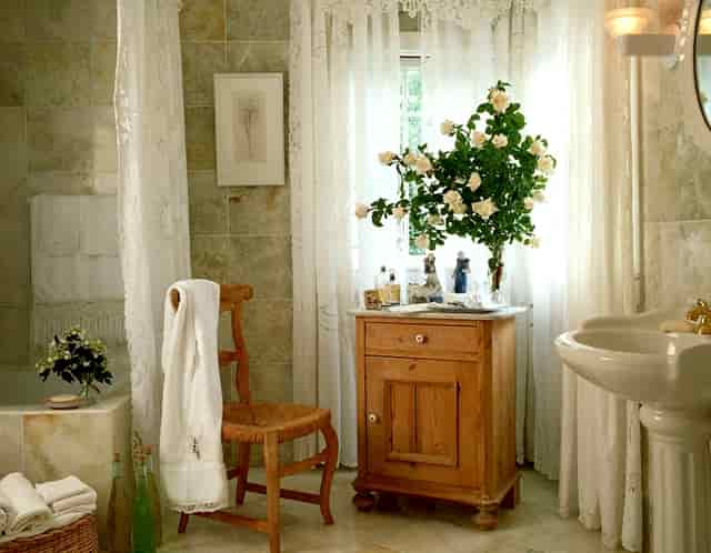 袖虎病猫攻略：猫咪打喷嚏别轻视