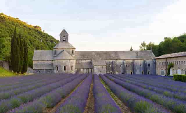 创业当老板，你必须知道的四个坑，袖虎带你避过！