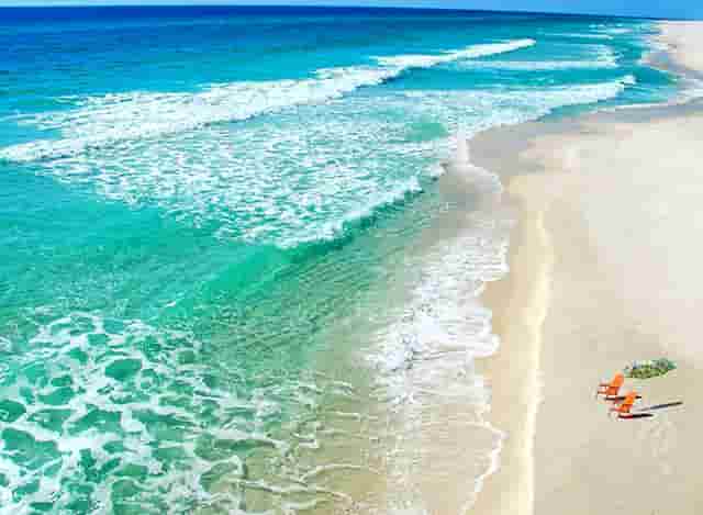 袖虎病猫攻略：猫咪多久需要驱一次虫