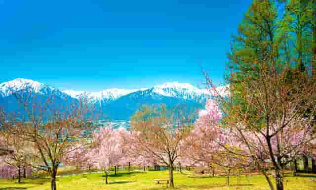 2021年泸西特岗教师