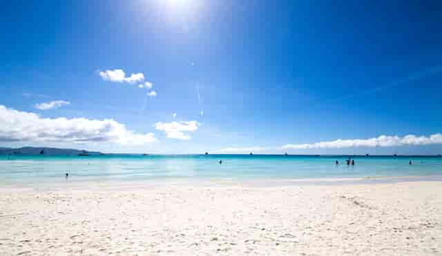 袖虎病狗攻略：犬心丝虫是什么？