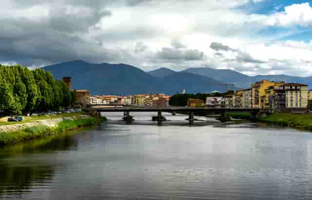 袖虎病狗攻略：犬趾间炎的二三事