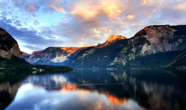 袖虎病猫攻略：猫鼻支要终身隔离吗