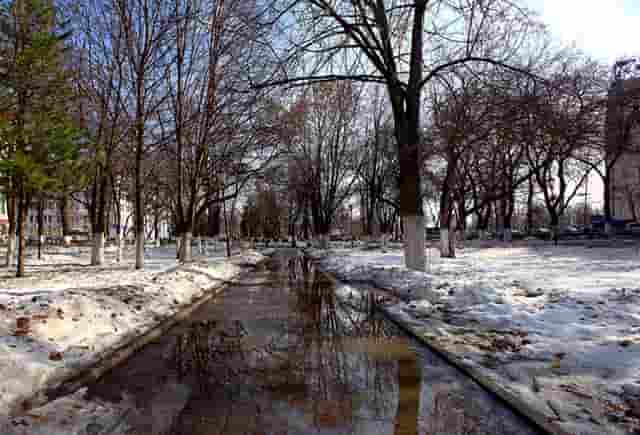 袖虎病猫攻略：哪些原因会导致猫咪呕吐？