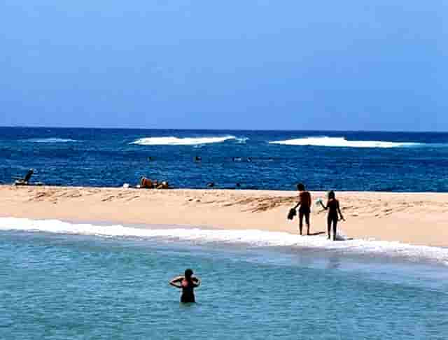 袖虎卖病猫？他们竟然这样说！