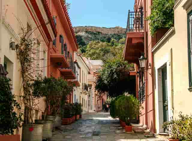 袖虎病猫攻略：泪痕重的就是病猫吗？