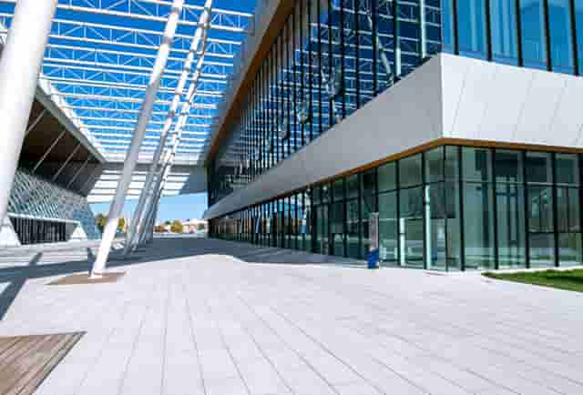 袖虎宠物攻略：猫咪突然过于反应激烈是怎么回事？