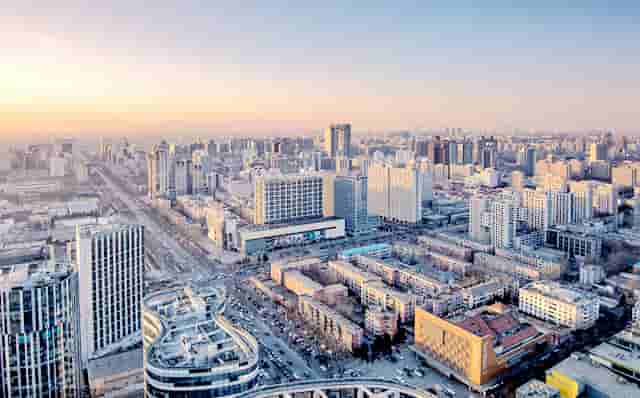 袖虎病狗攻略：狗怎么会瘸？